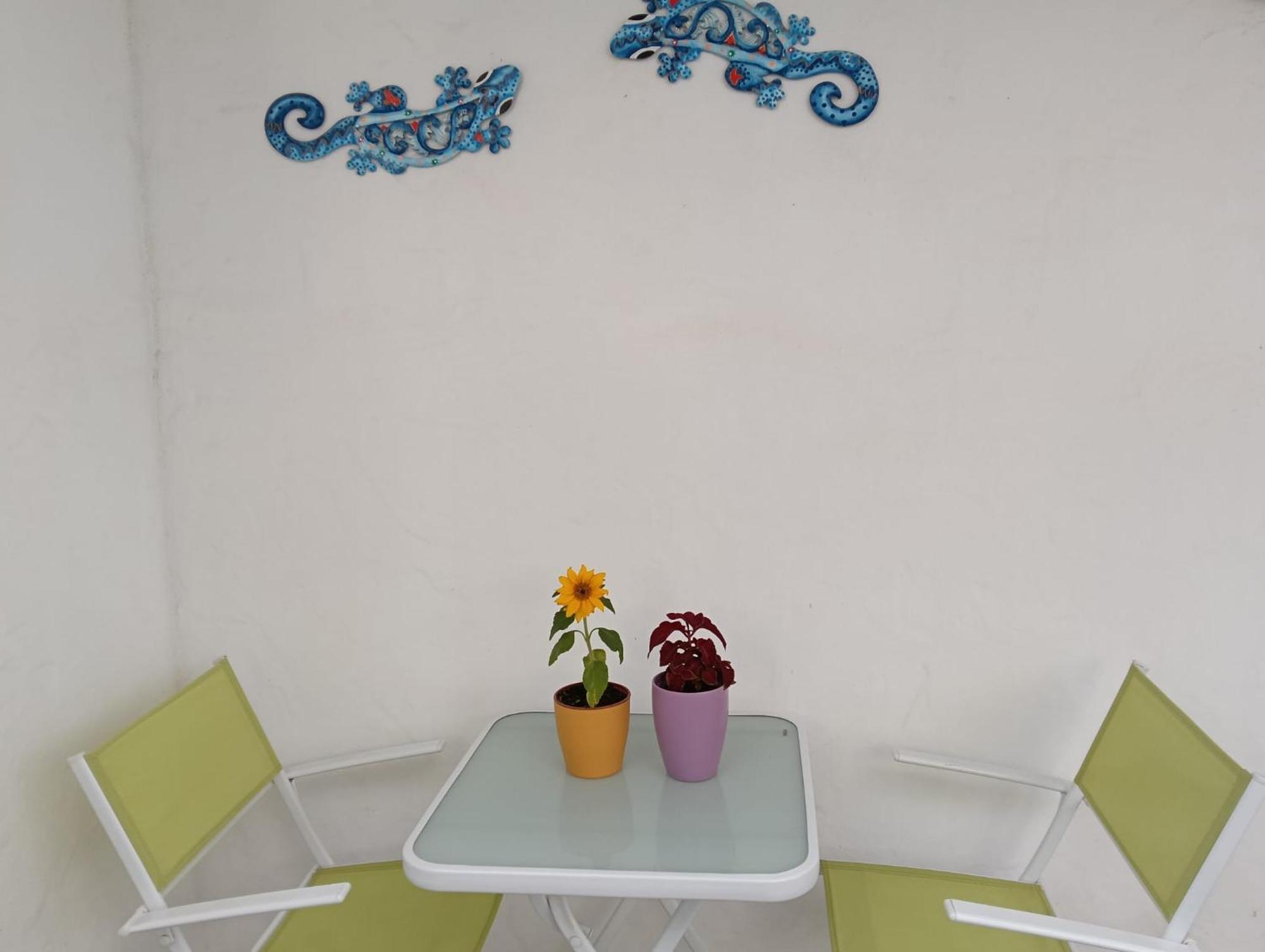 Appartamento Las Palmas Tarajalejo Exterior photo